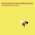 Ted Leo - The Brutalist Bricks